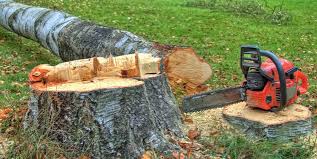 Best Arborist Consultation Services  in Decatur, AL