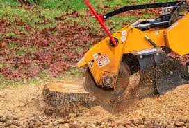 Best Root Management and Removal  in Decatur, AL