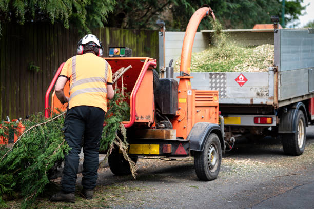 Best Pest Control for Lawns  in Decatur, AL