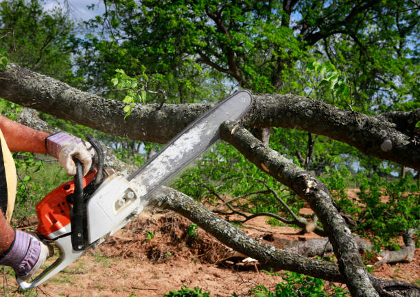 Lawn Grading and Leveling in Decatur, AL
